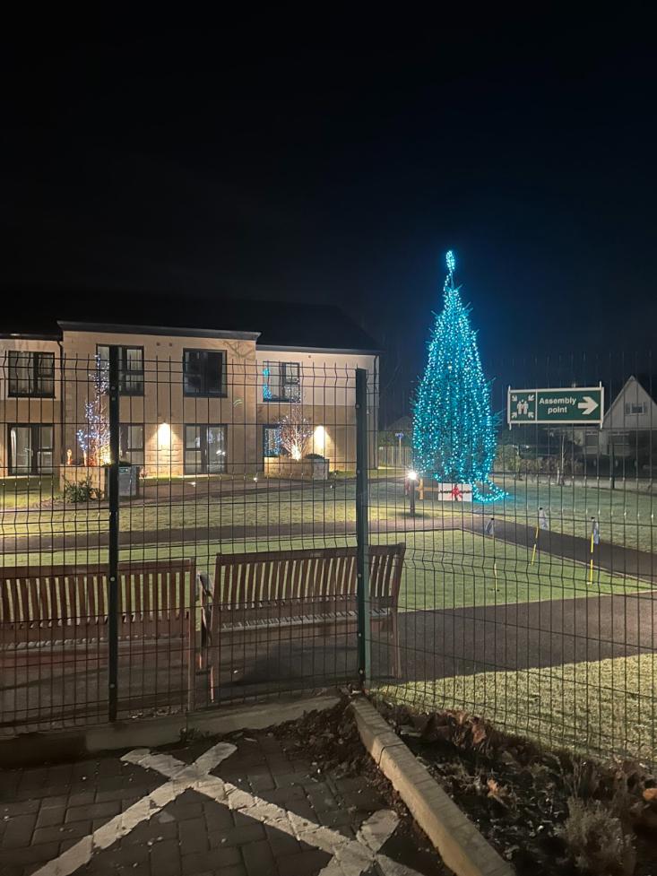 christmas-lights-at-roselea-court-care-home