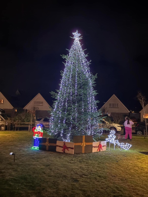 Christmas light switch on at Roselea Court Care Home