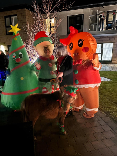 Christmas light switch on at Roselea Court Care Home