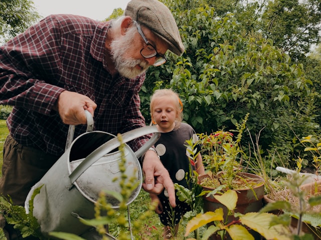 older man gardening